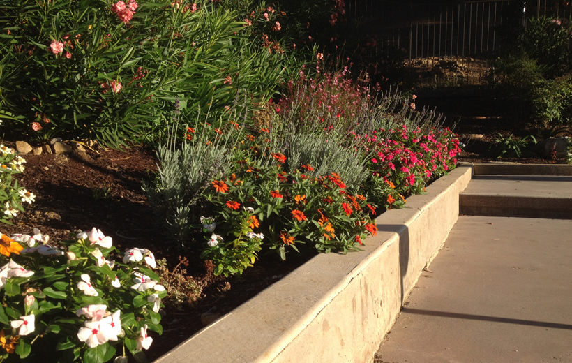 Planter Curb, 2-Story Green Addition & Whole House Remodel, ENR architects, Granbury, TX 76049